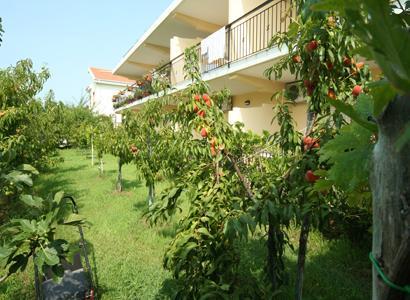 Bed And Breakfast Cirelli Scalea Exterior foto